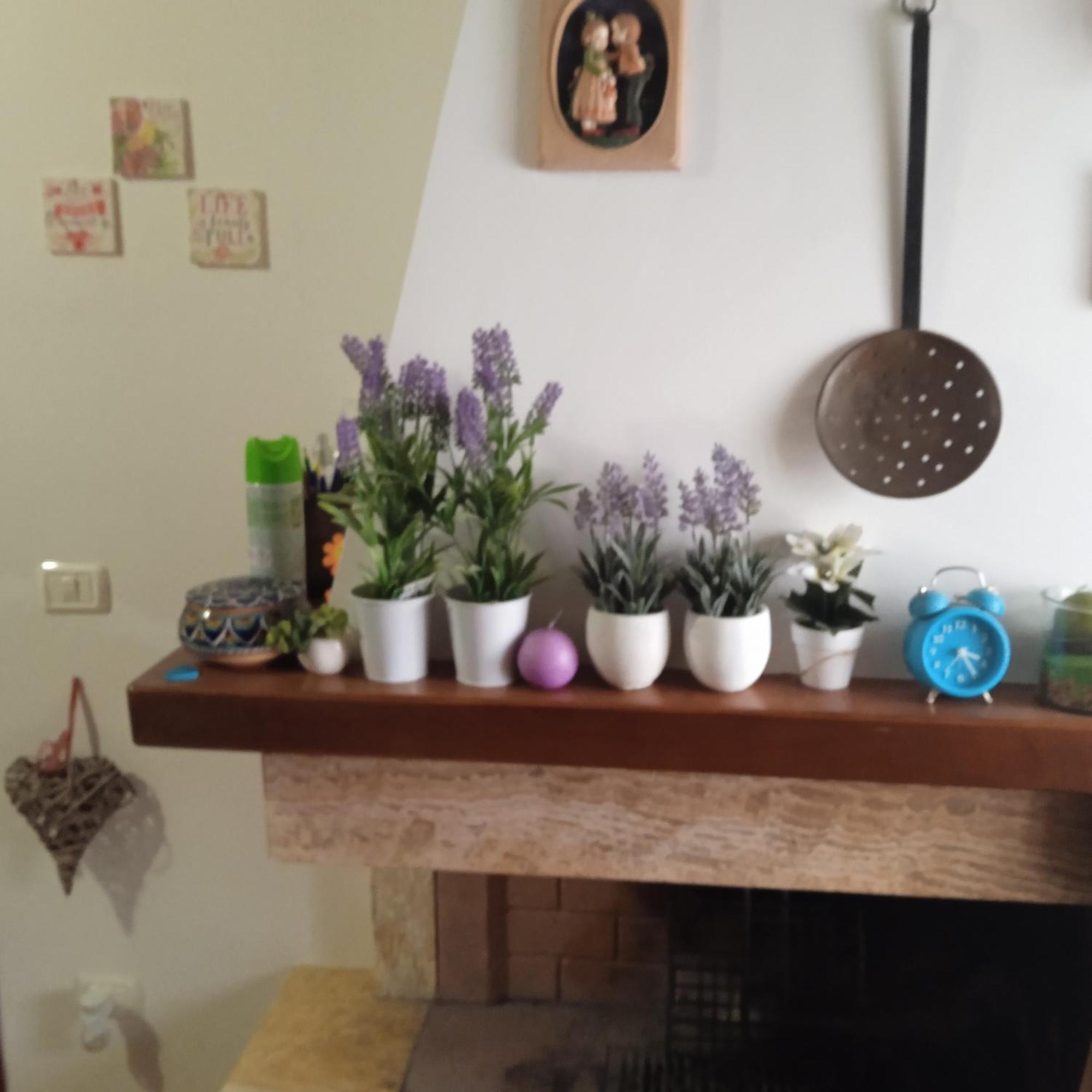 La Mia Acera Apartment ภายนอก รูปภาพ
